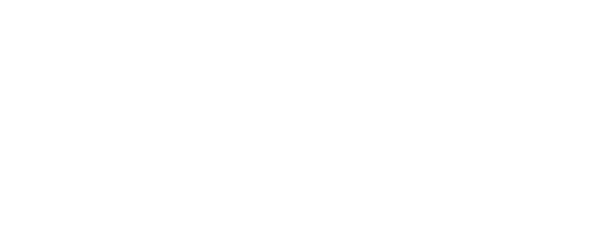 vision diagram.
